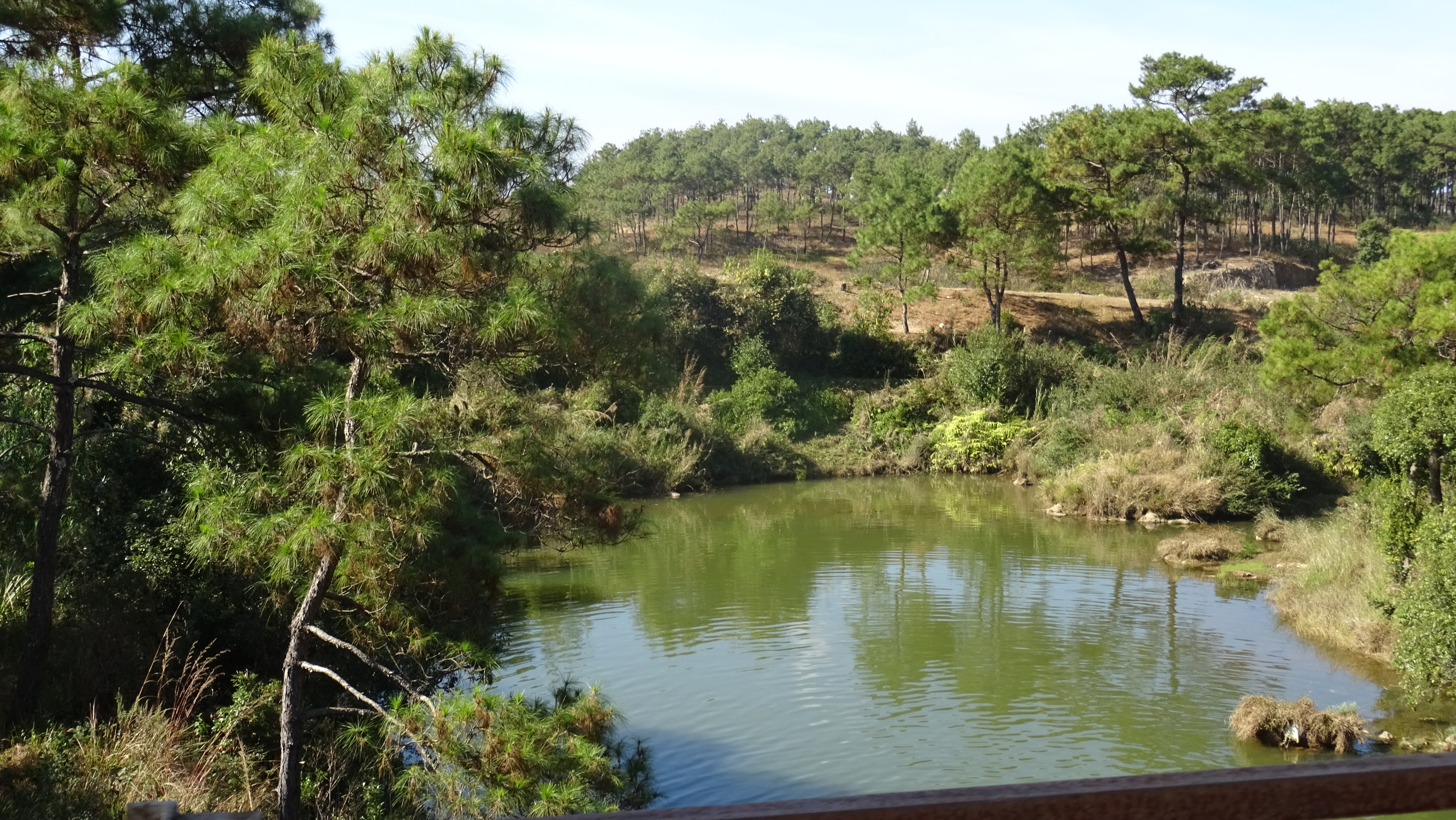 Soil and water conversation for livelihood improvement