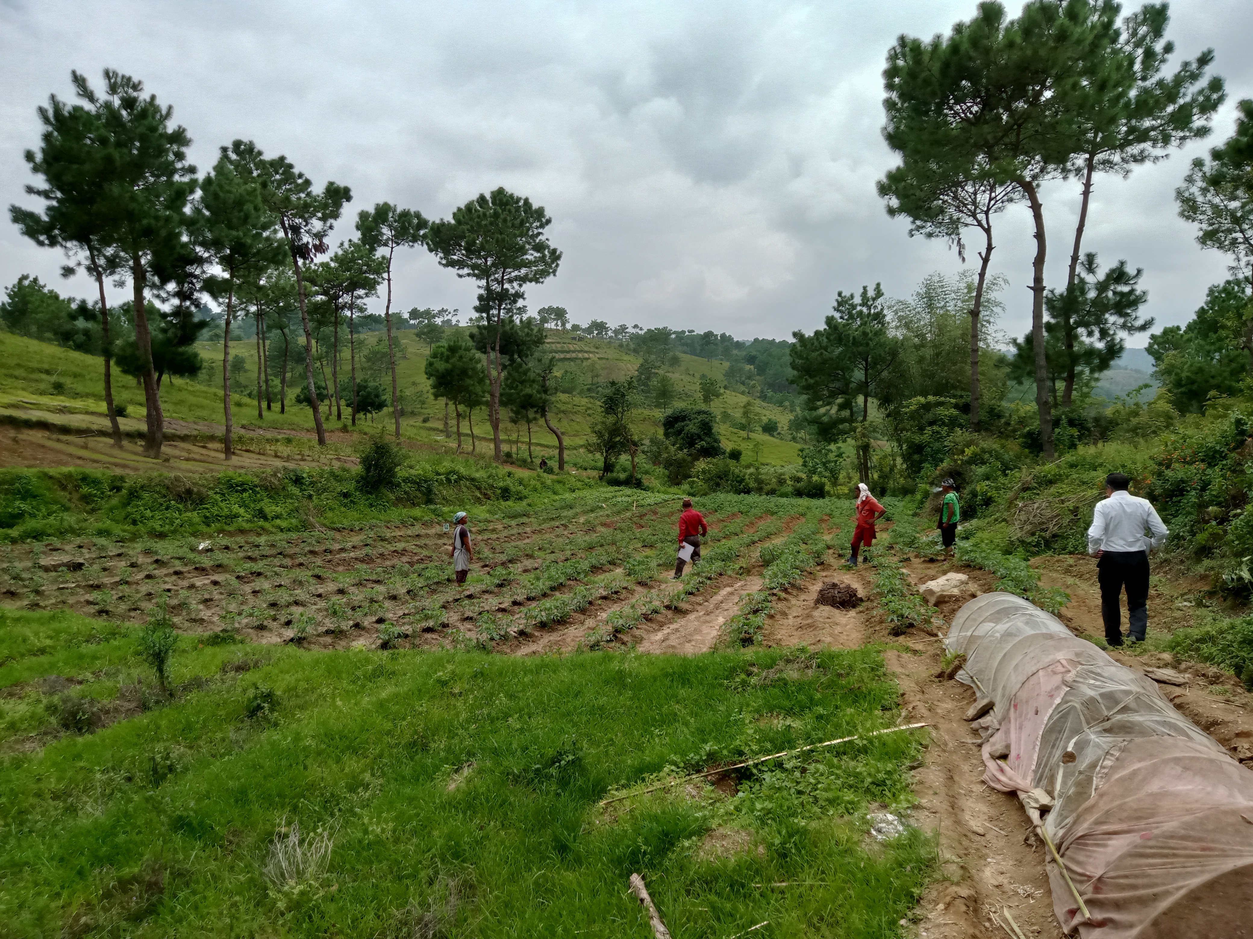 SEEDS OF CHANGE: LAITMYNSANG’s WOMEN LEASING ENVIRONMENT & ECONOMIC REVIVAL